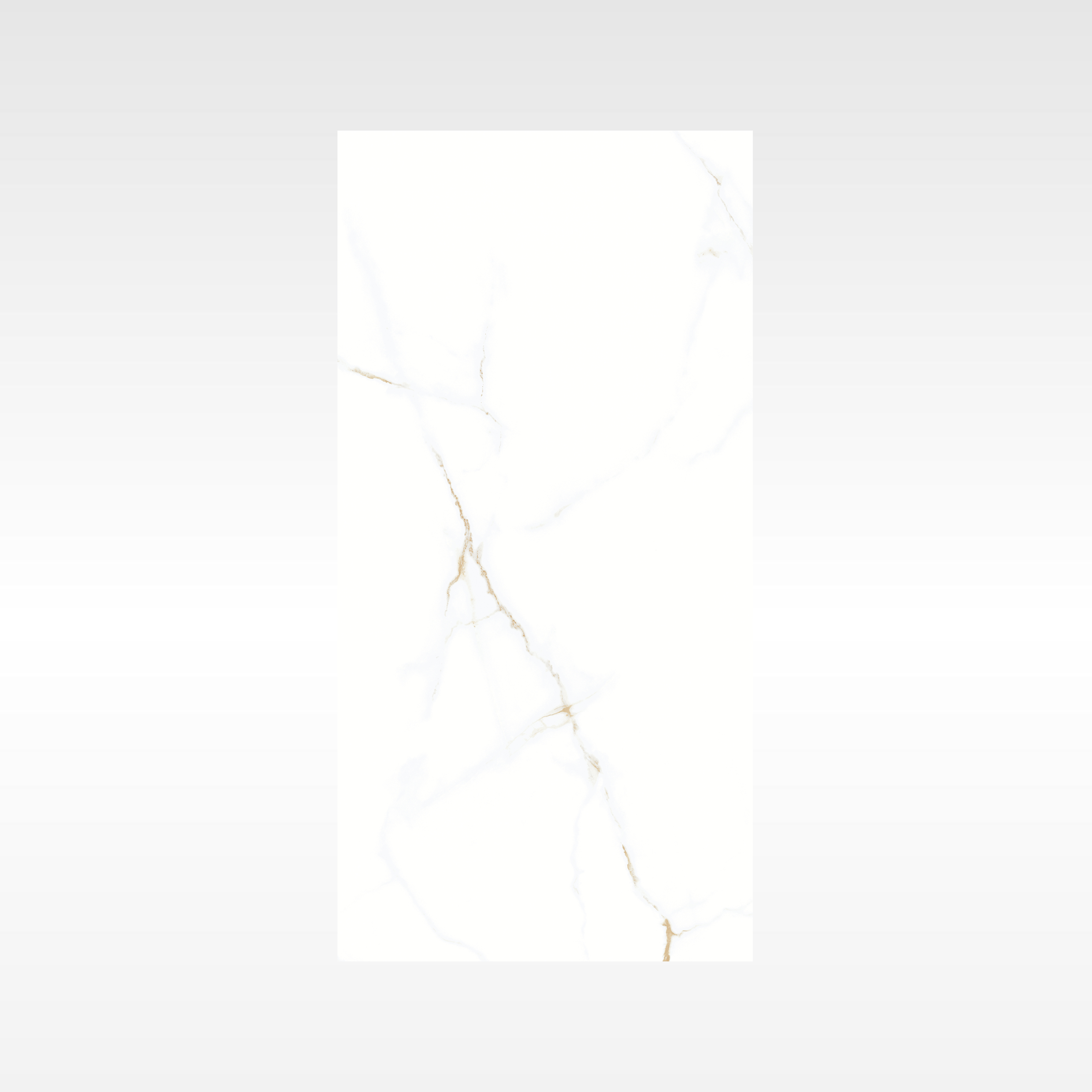 Statuario Gold Soft Matt 300x600