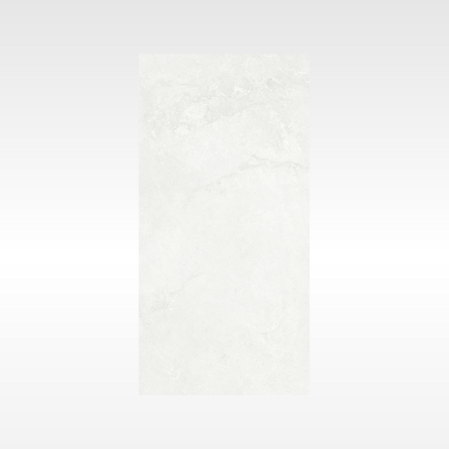Elegance Silver 600x1200 StoneTouch Tec