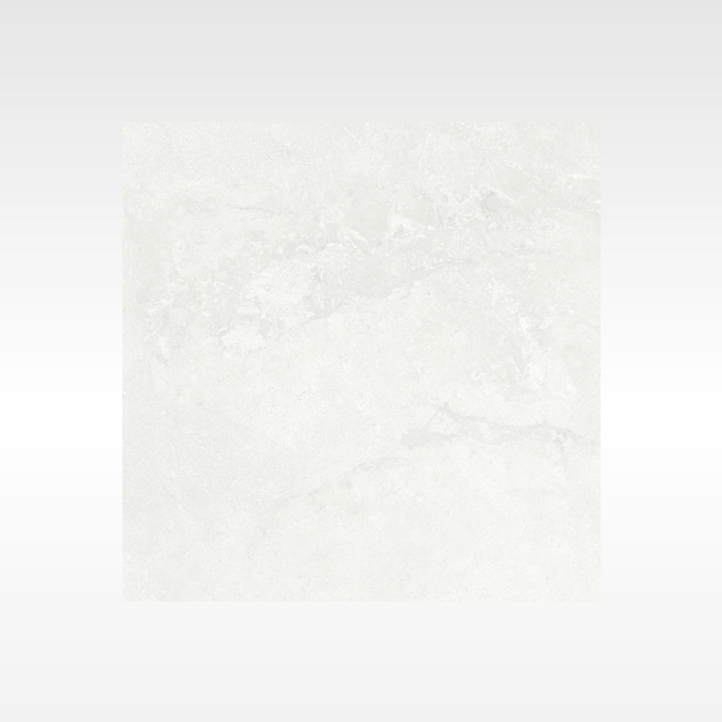 Elegance Silver In&Out Solution