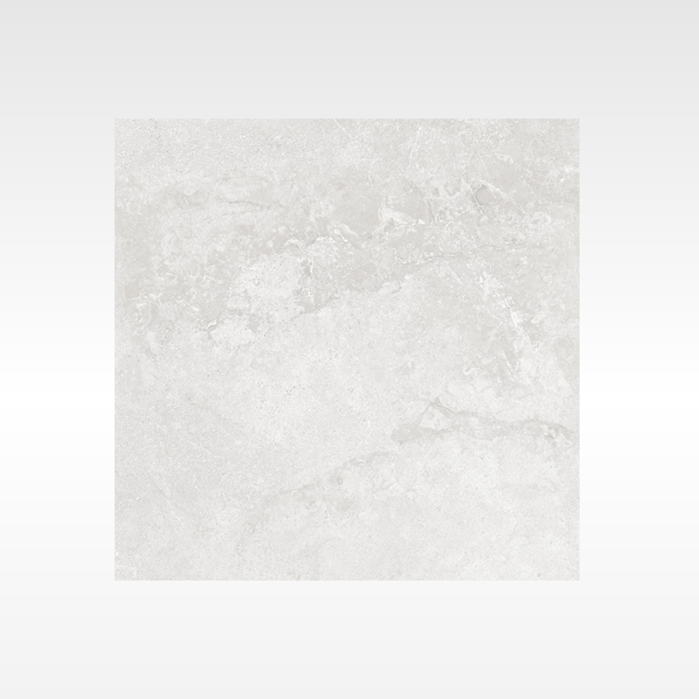 Elegance Grey In&Out Solution