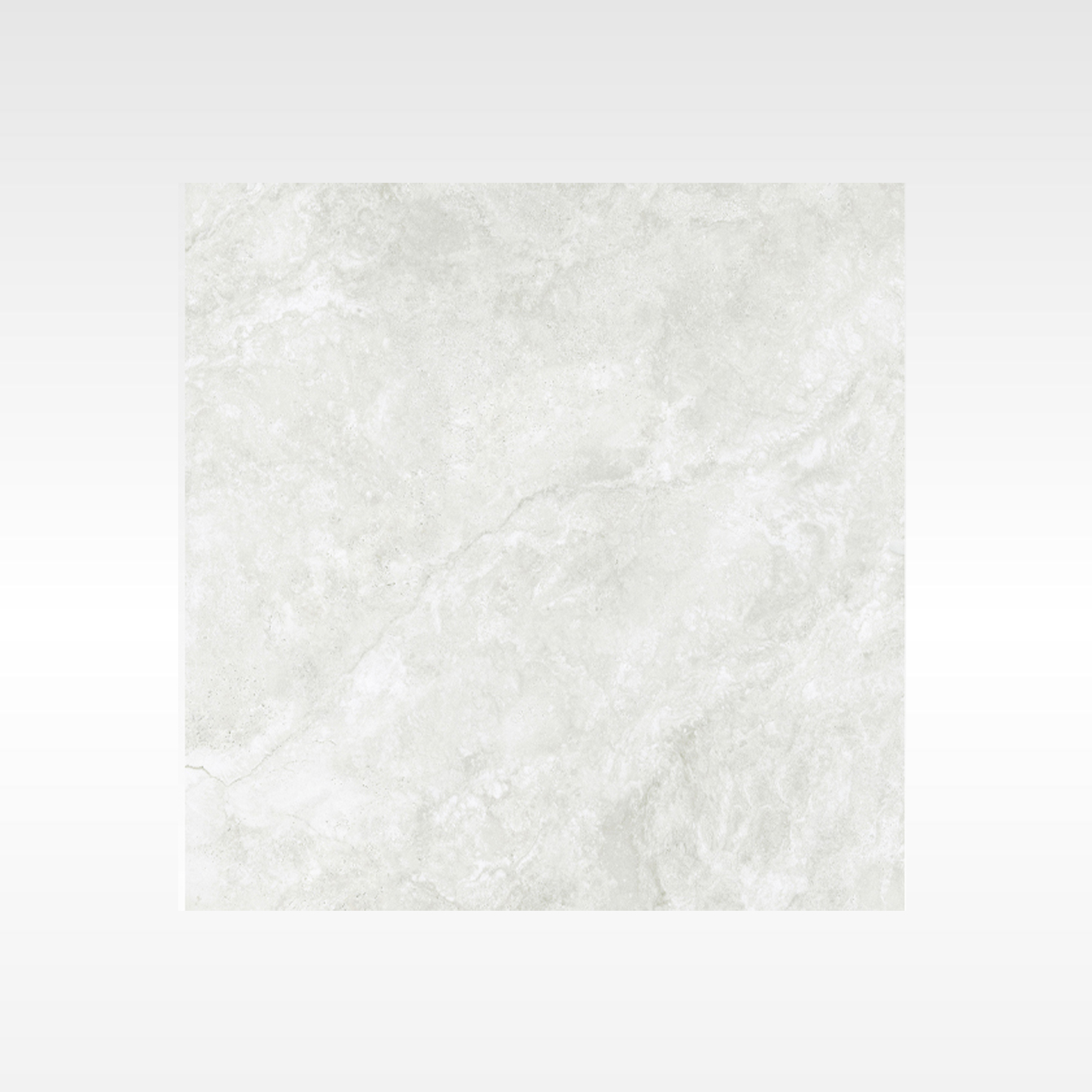 Everest Silver In&Out Solution