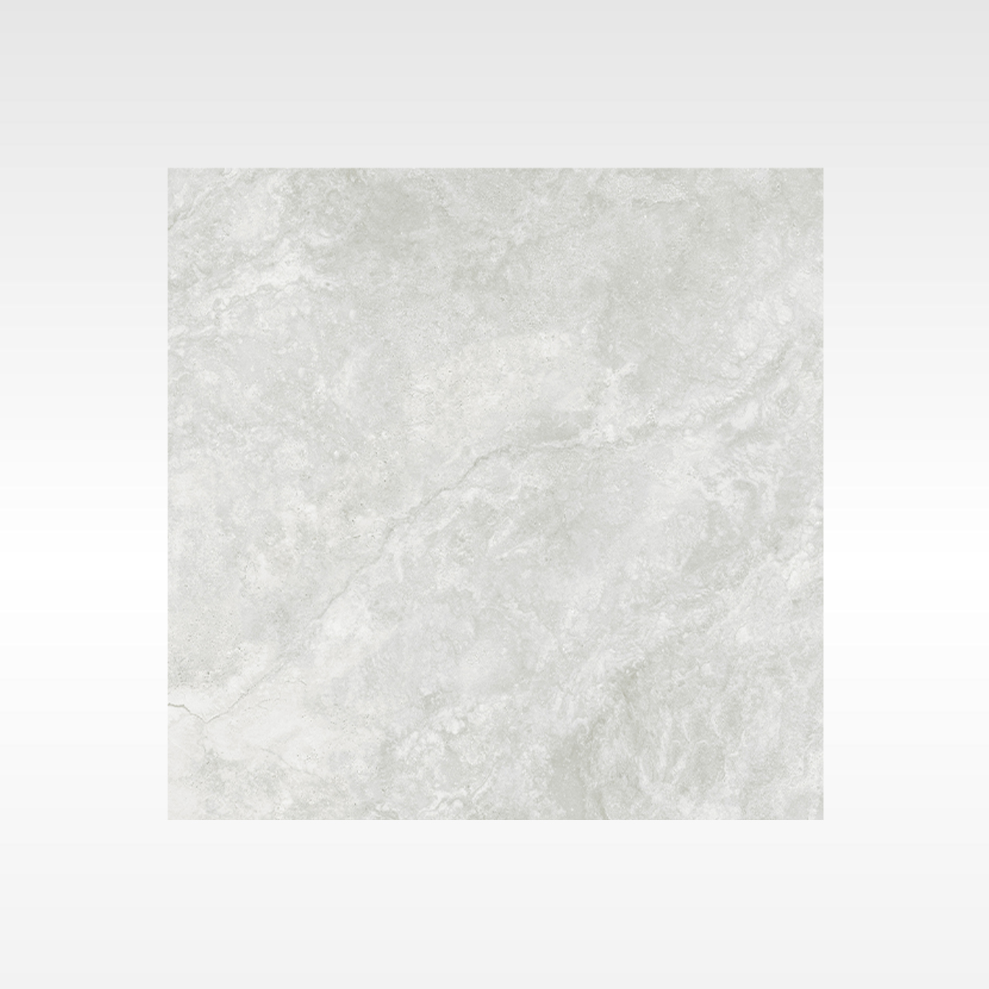 Everest Grey In&Out Solution