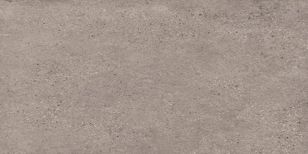 T-Stone Ash Grey 300x600 Lappato
