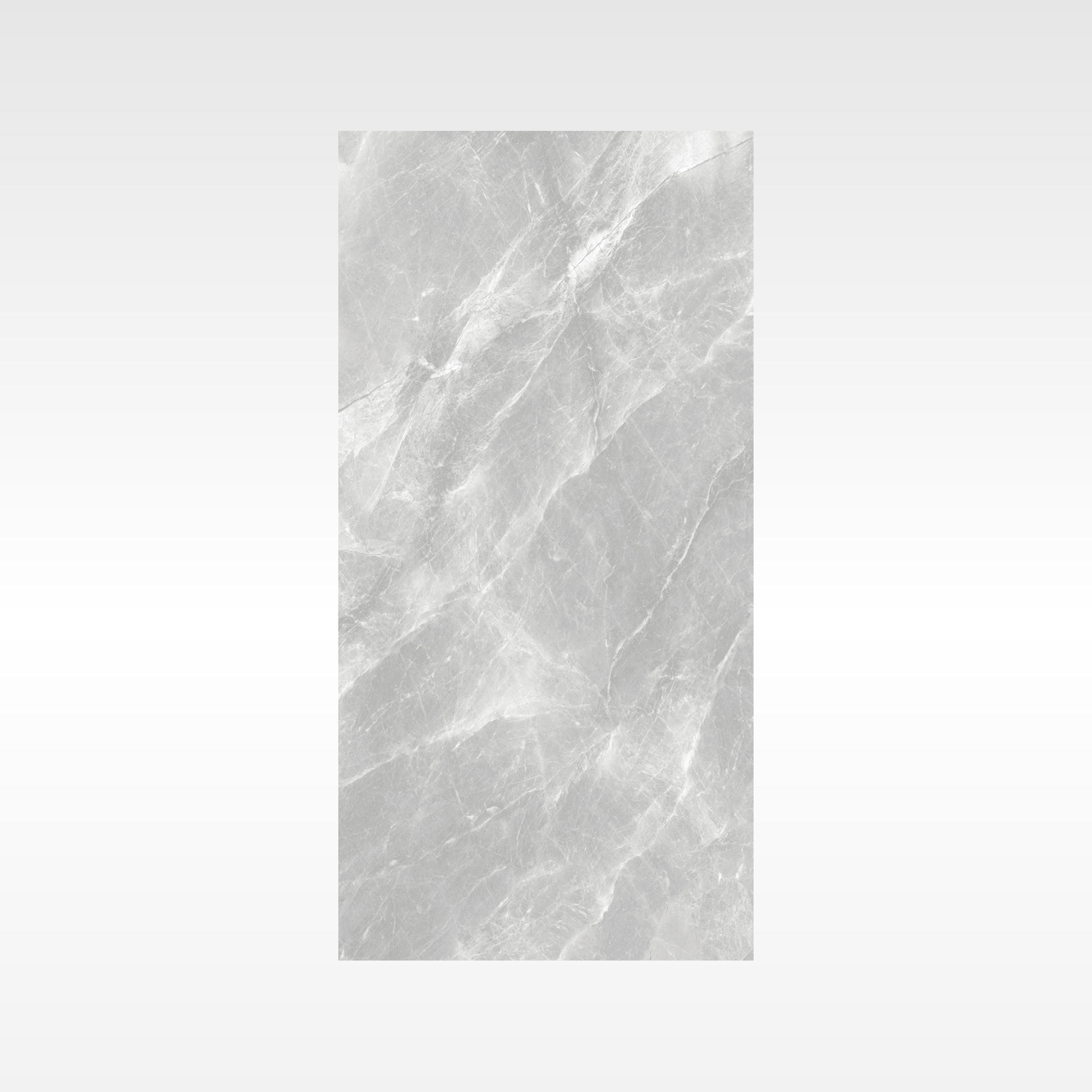 Fg Grey 600x1200 Soft Matt