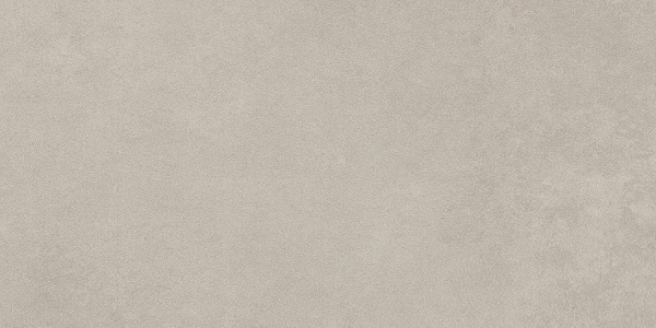 Surface Grey 300x600 Matt