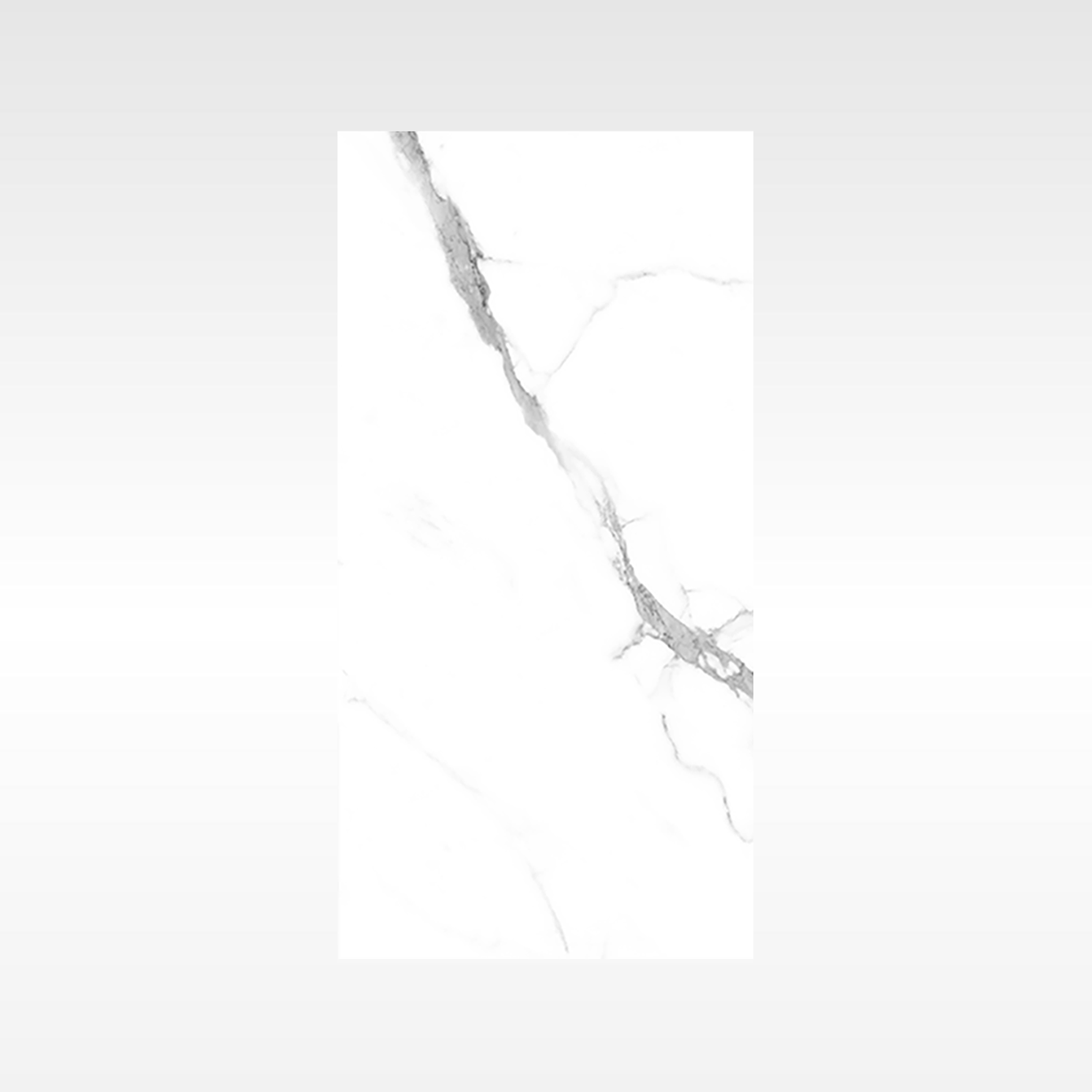 Calacatta White Polished